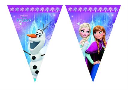 Banner 9 bandierine Frozen northern lights