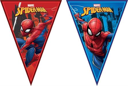 Banner 9 triangular flags Spider-man team up