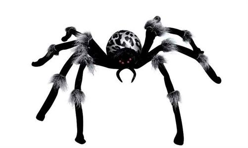 Spider GIGANTE 73X28X6 cm