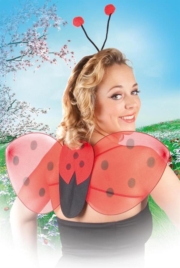 SET LADYBUG WITH WINGS E STAR