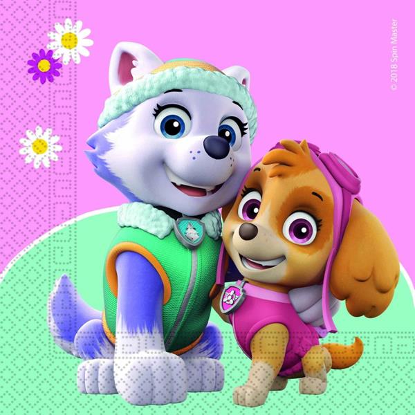 20 TOVAGLIOLI CARTA FSC PAW PATROL SKYE AND EVEREST CM 33X33